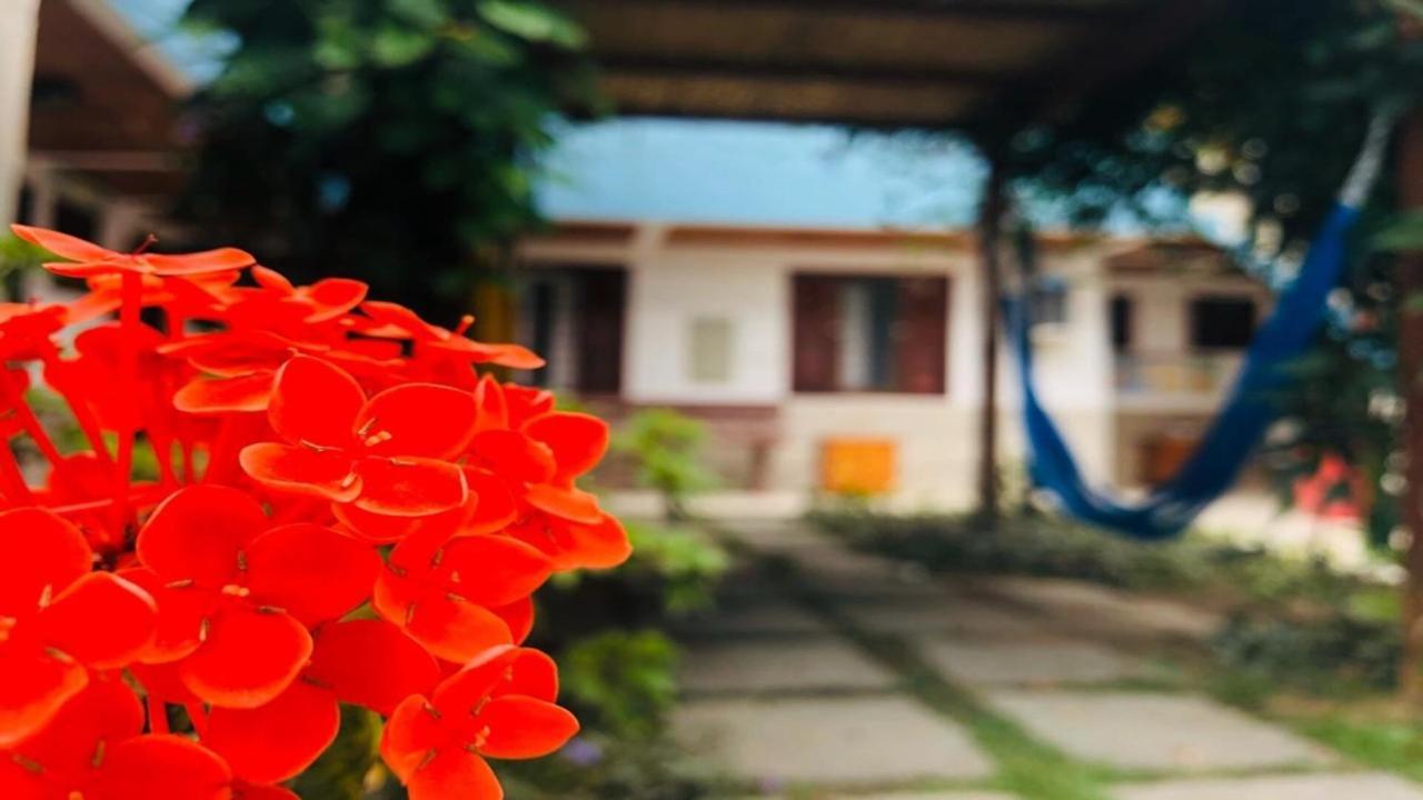 Pousada Mar Azul باراتي المظهر الخارجي الصورة